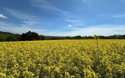 Heisterschoß – Wunderschönes Baugrundstück mit herrlichem Blick